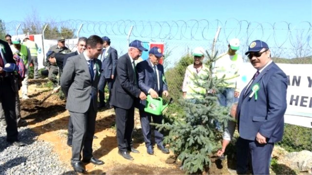 Zonguldak\'ta Ağaç Bayramı Töreni Düzenlendi