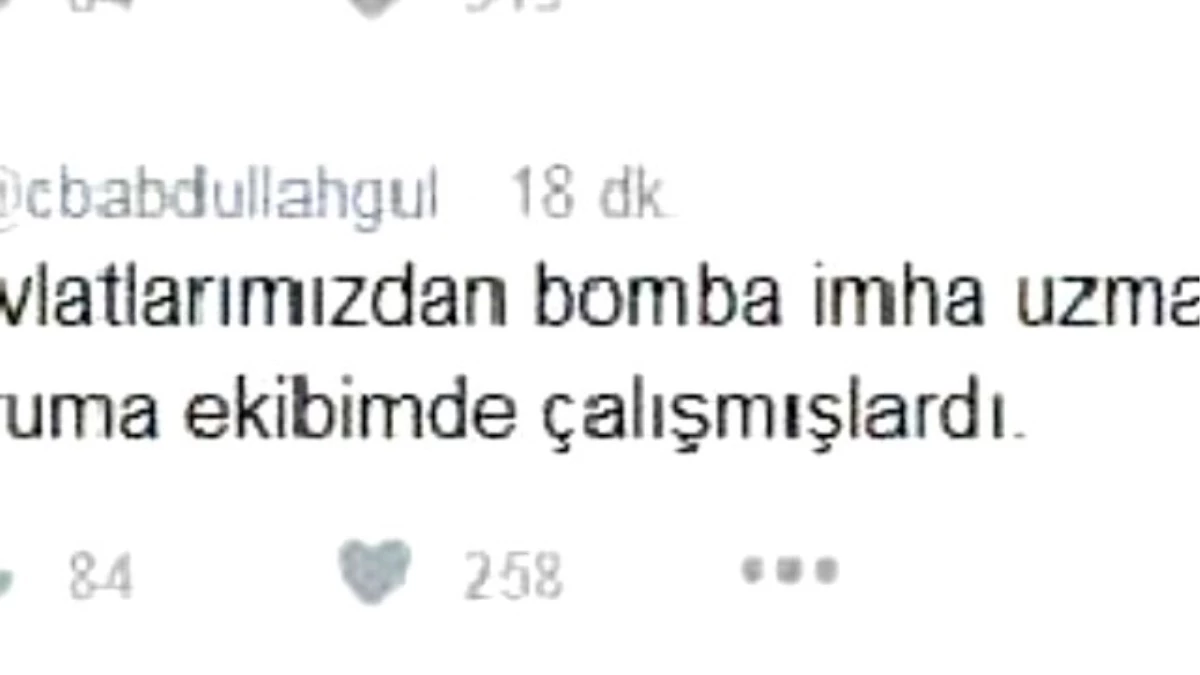 Abdullah Gül\'ün 2 Koruması Nusaybin\'de Şehit Oldu