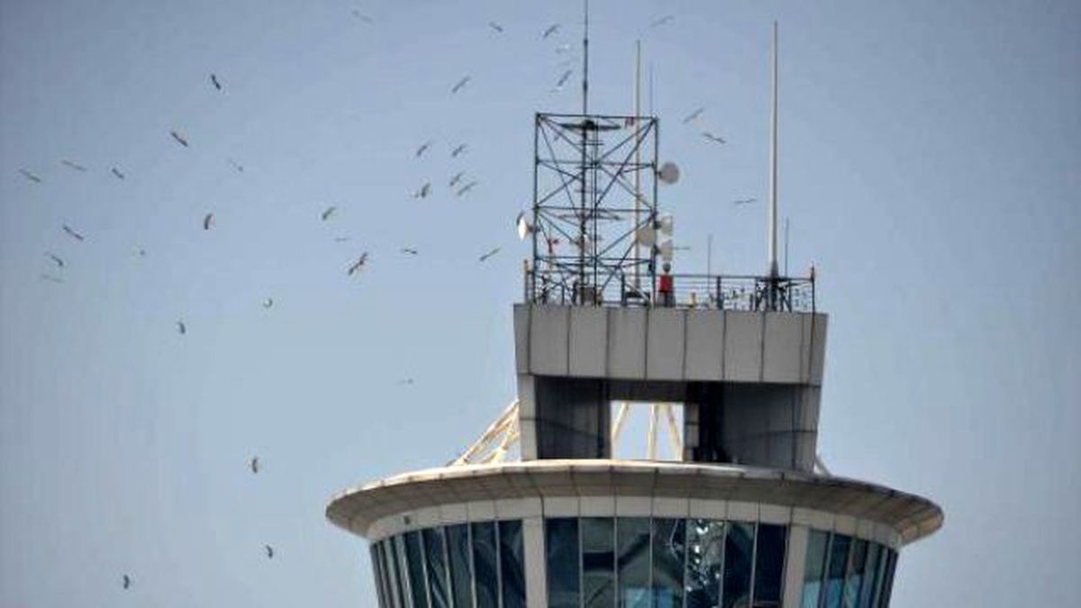 Baharın Müjdecisi, Pilotların Kabusu: Leylekler