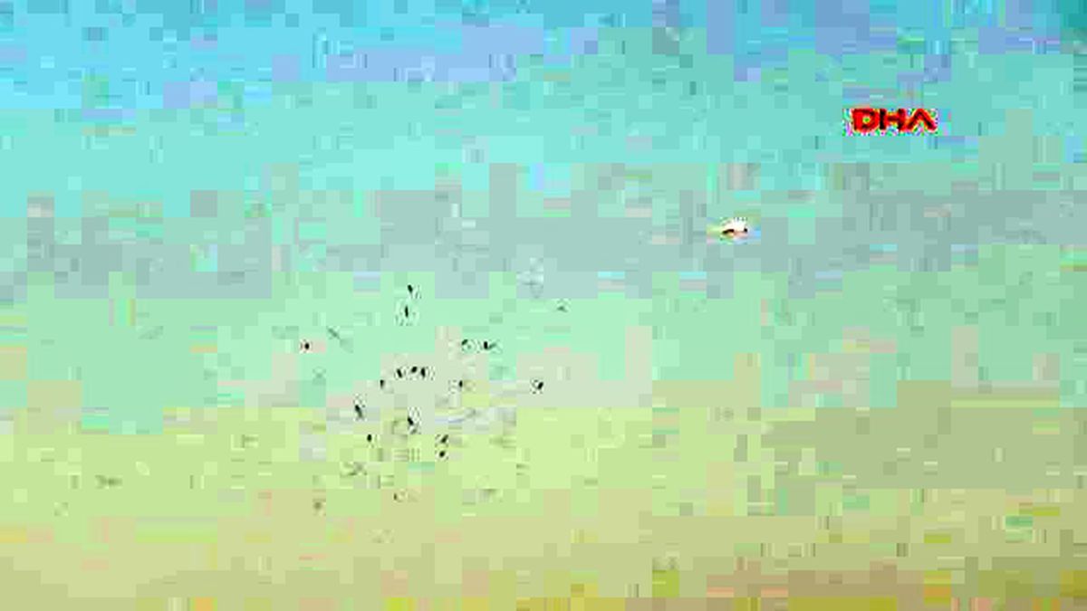 Baharın Müjdecisi, Pilotların Kabusu: Leylekler