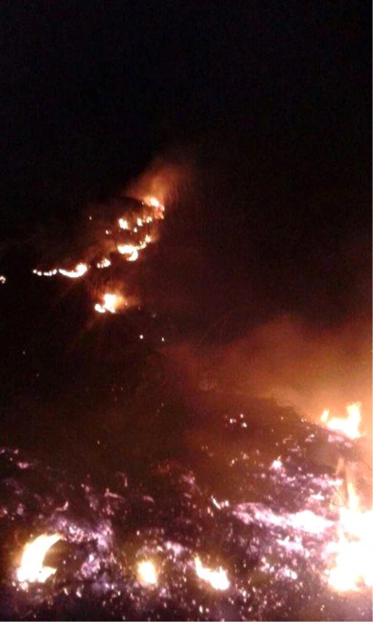Cide\'de Korkutan Orman Yangını