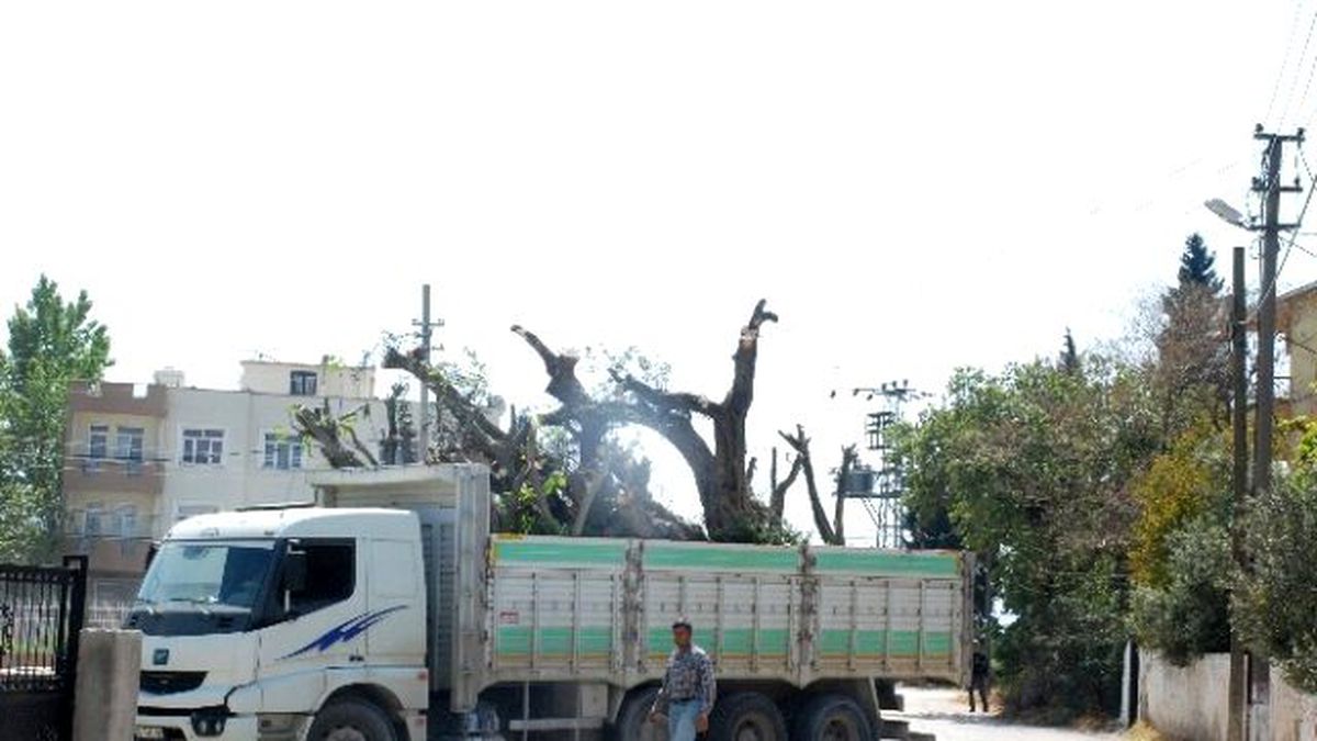 Elektrik Tellerini Kopartan Kamyon Mahalleyi Elektriksiz Bıraktı