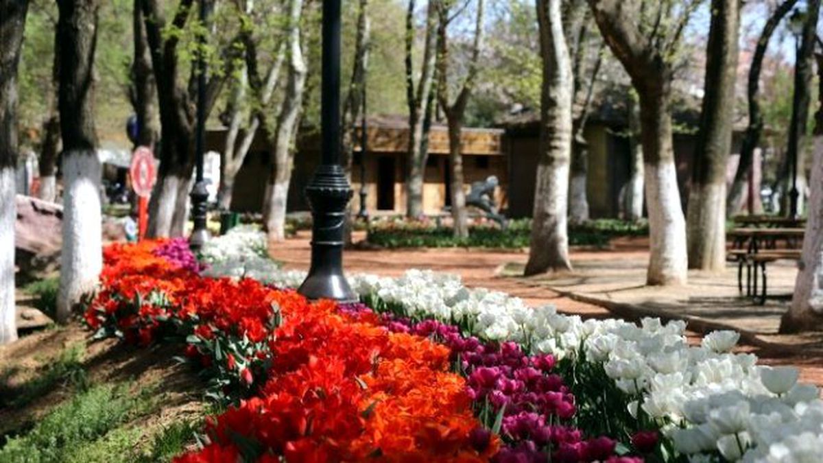 Gaziantep Baharda Bir Başka Güzel