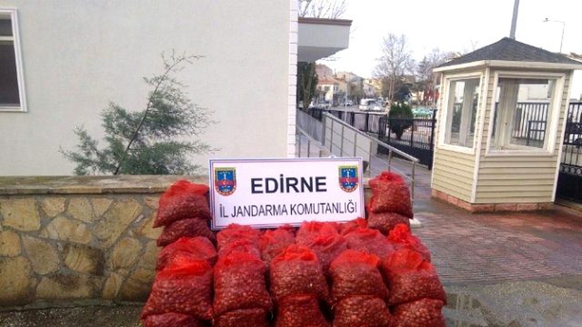 Jandarma, Midye Kaçakçılarına Göz Açtırmıyor