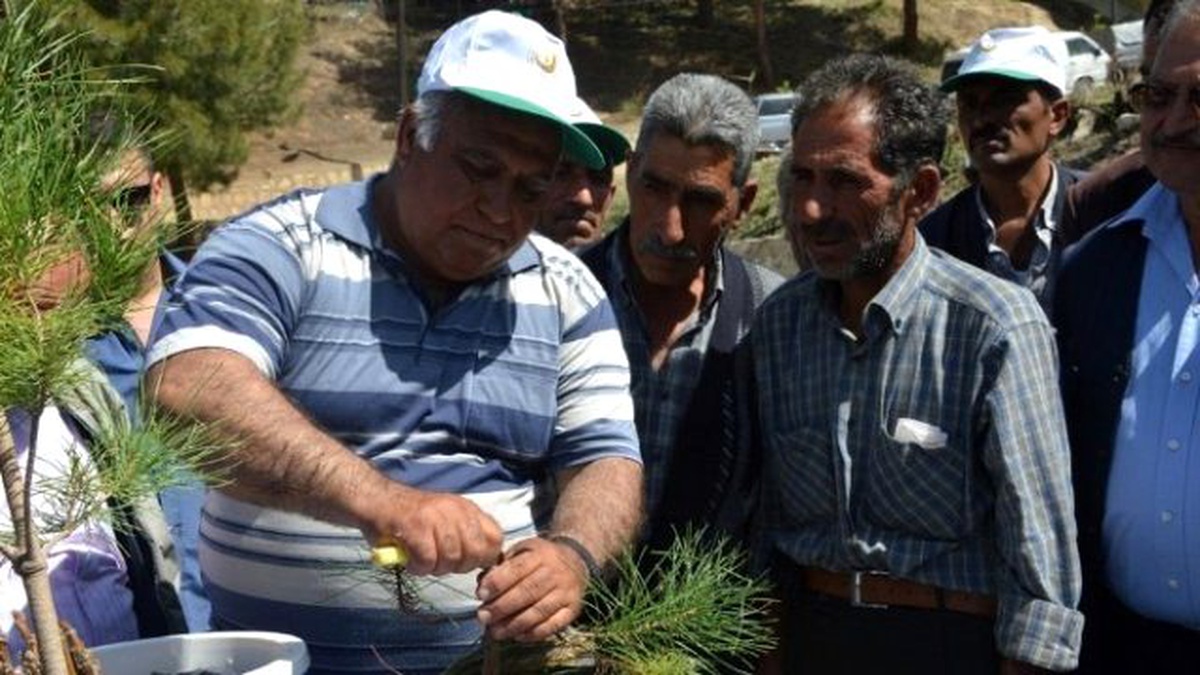 Orman Bölge, Mut\'ta Gelir Getirici Türler Aşılama Eğitimi Verdi