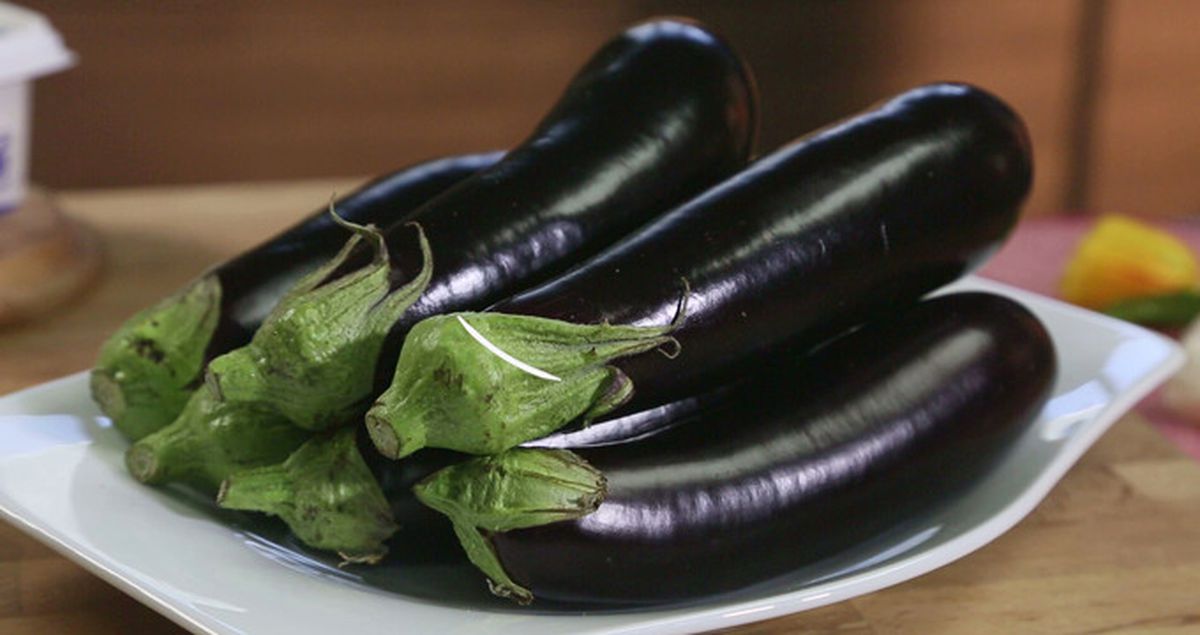 Türk Askerinin İcadı, Suya Karışan Petrolü 'Patlıcan' Temizleyecek