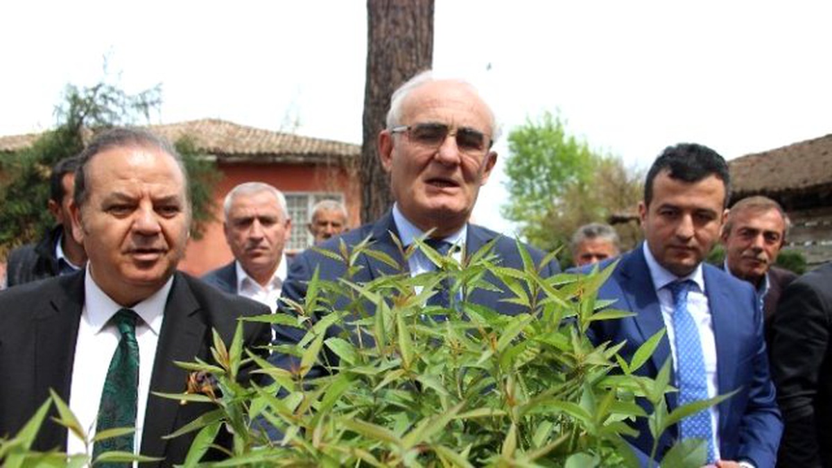 Büyükşehir Belediyesi\'nden 25 Bin Şeftali Anacı Dağıtımı