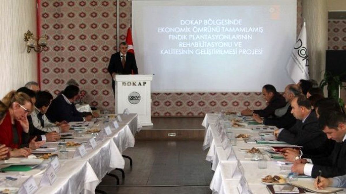Dokap\'ta Fındık Toplantısı