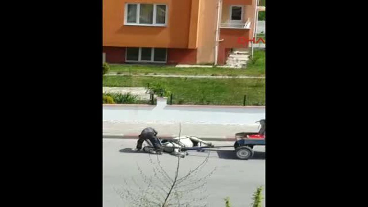Edirne - Yere Düşen Atını Tekmeleyerek Kaldırmaya Çalıştı