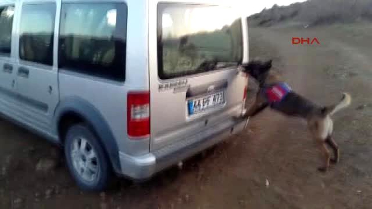Elazığ Çivi ve Cesur, Uyuşturucu Tacirini Yakalattı
