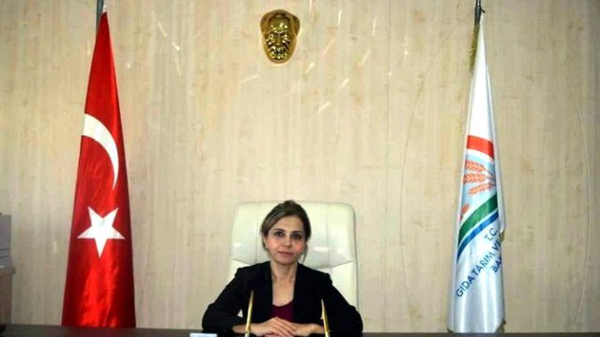 Genç Çiftçilere Proje Karşılığında 30 Bin TL\'ye Kadar Destek Tebliği Yayımlandı