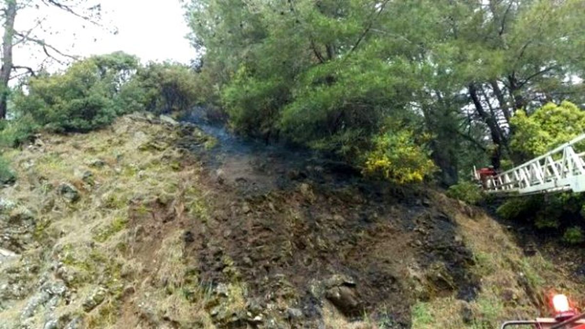 Marmaris\'te Orman Yangını Ucuz Atlatıldı