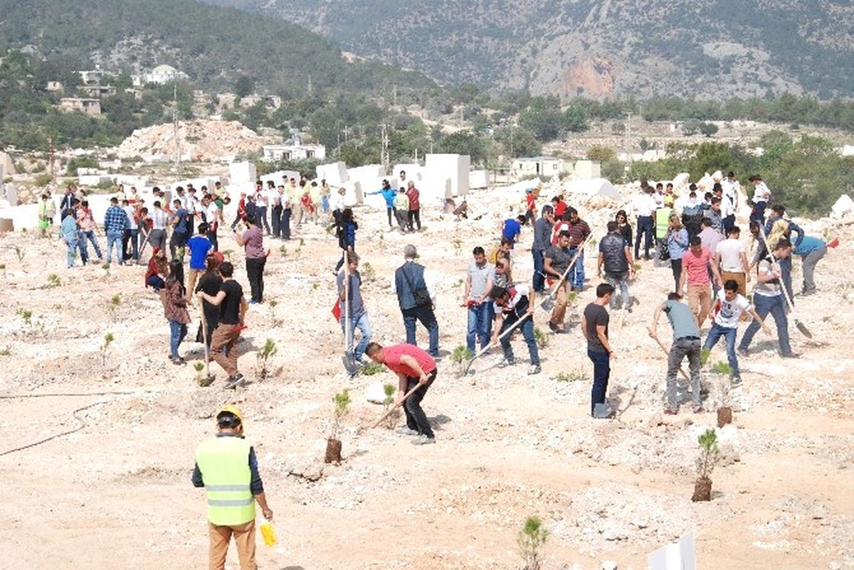 Silifke\'de Bulunan Mermer Ocaklarına 44 Bin Fidan Dikildi