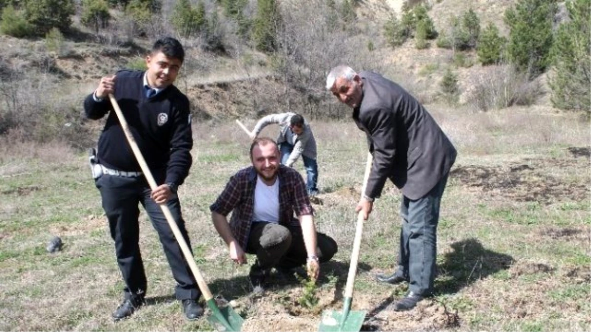 Tosya\'da Polis Haftası 171 Fidan Dikimi ile Başladı