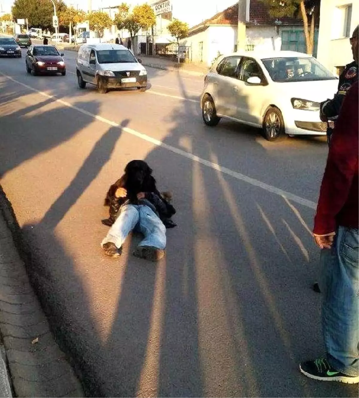 Kalp Krizi Geçiren Vatandaşın Üzerine Köpeği Kapandı