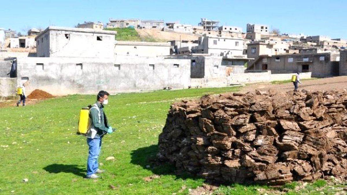 Hayvan Barınakları İlaçlandı