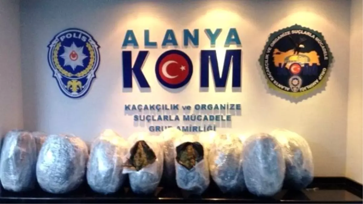 Alanya\'da 51 Kilo Esrar Ele Geçirildi