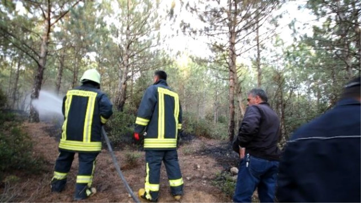 Beyşehir\'de Ormanlık Alanda Çıkan Yangın Büyümeden Söndürüldü