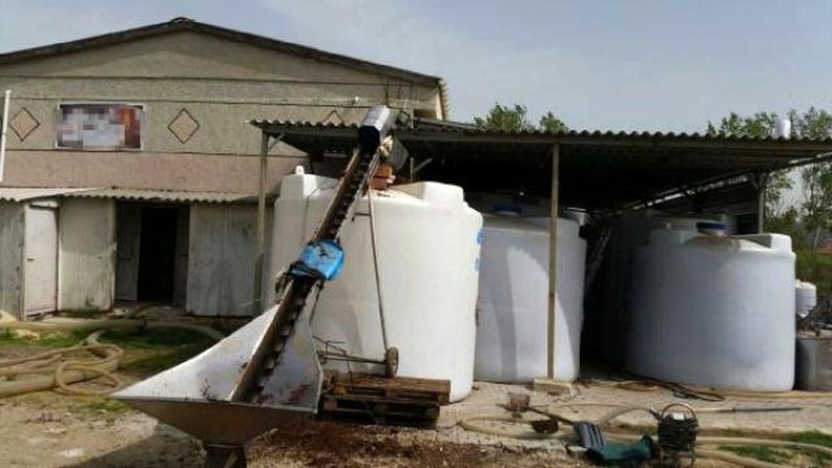 Edirne\'de Huzur Operasyonu: 405 Ton Kaçak Şarap Ele Geçirildi