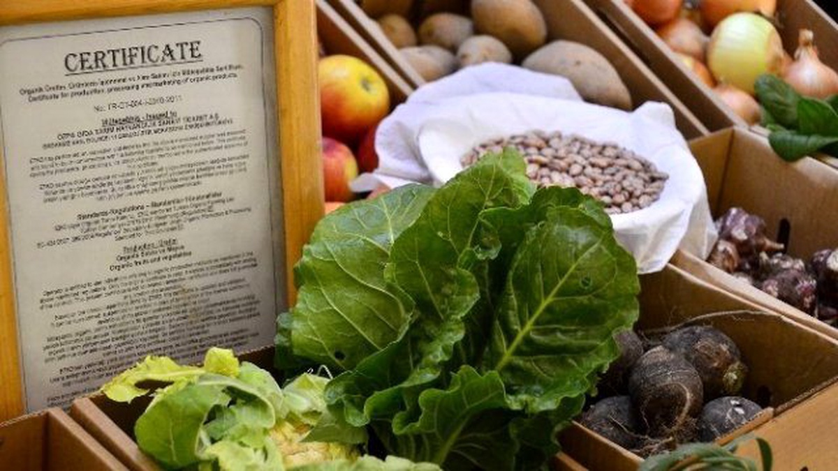 Ekolojik Pazar\'ın Yeni Adresi Hanımeli Sokak
