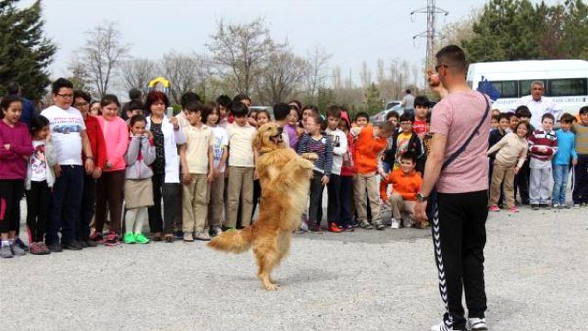 Jandarmanın Eğitimli Köpeklerinden Öğrencilere Gösteri