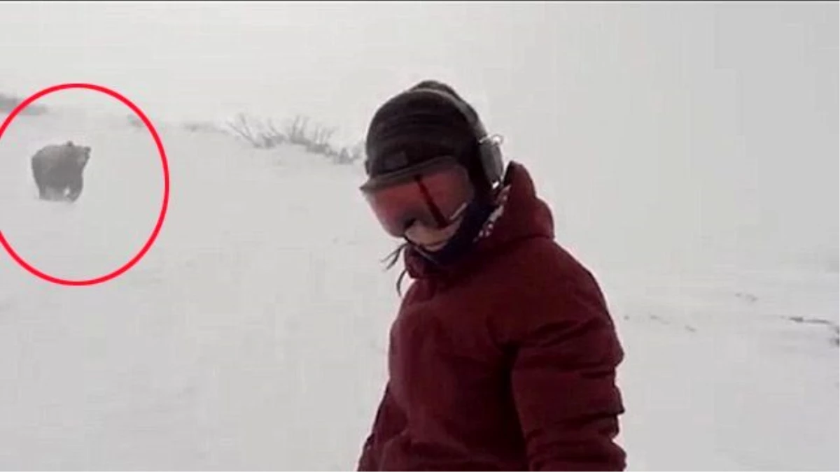 Snowboardcu Kadın Ayının Kovaladığının Farkında Olmadan Kayak Yaptı