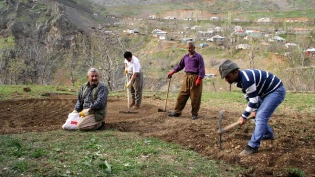 Sınır Köylerinde Bahar Mesaisi