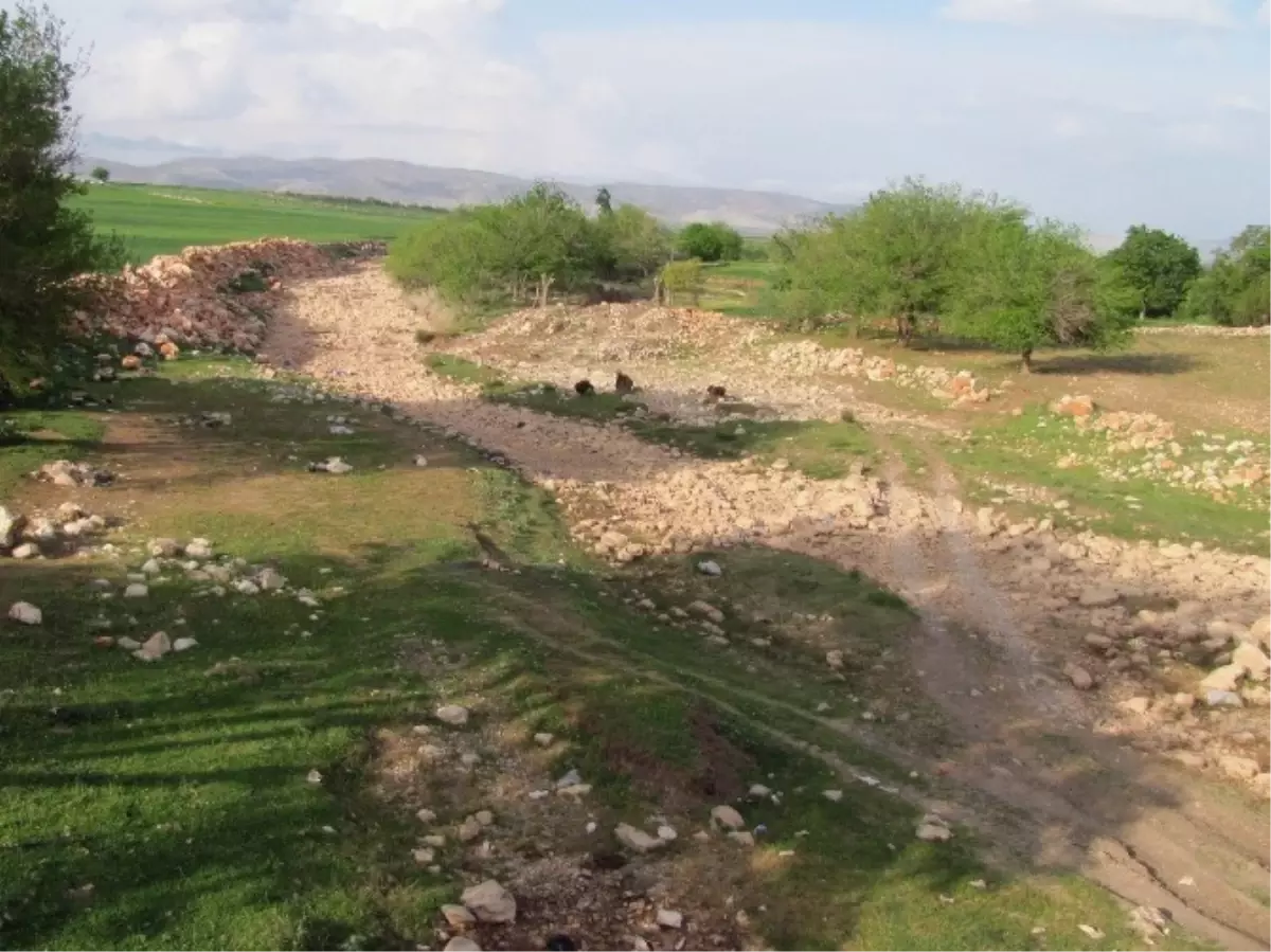 Araban\'da Çiftçilerin Son Umudu Karasu Çayı da Kurudu