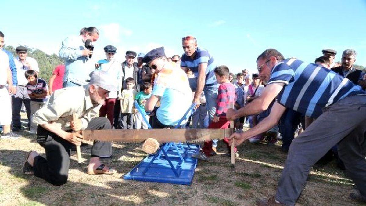 Bodrum\'da Pedasa Festivali Başlıyor