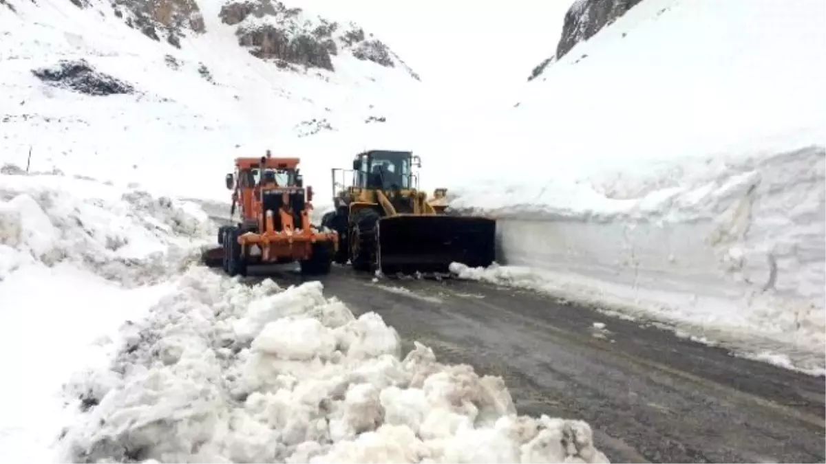 Van-bahçesaray Yoluna Çığ Düştü