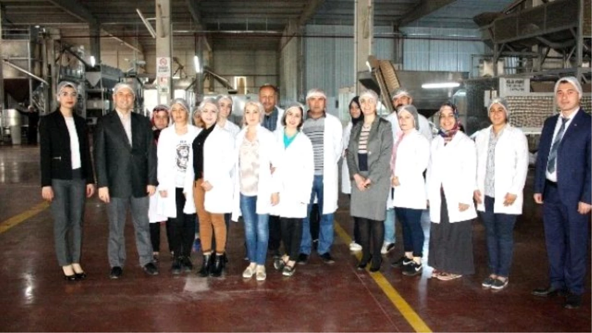 Gaün\'lü Öğrencilerden Gıda Fabrikasına Teknik Gezi