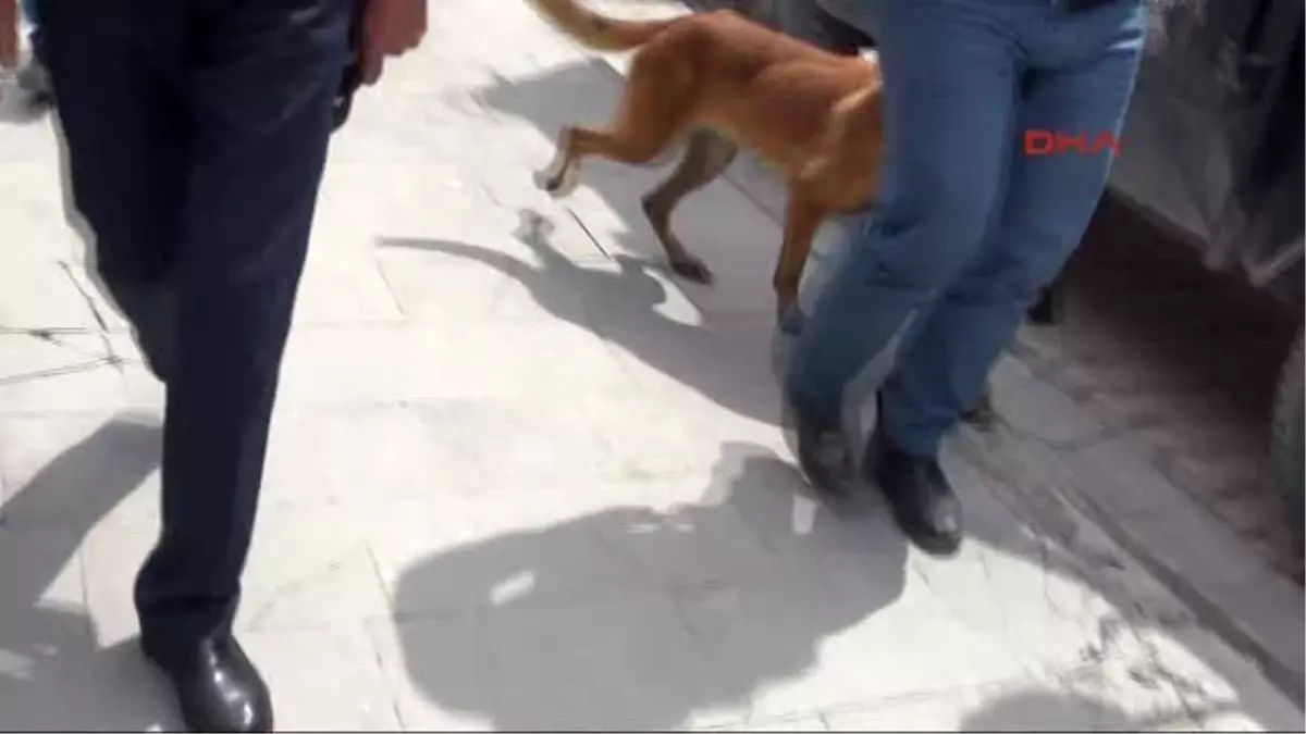 Hakkari CHP Heyeti Esnafı Ziyaret Etti