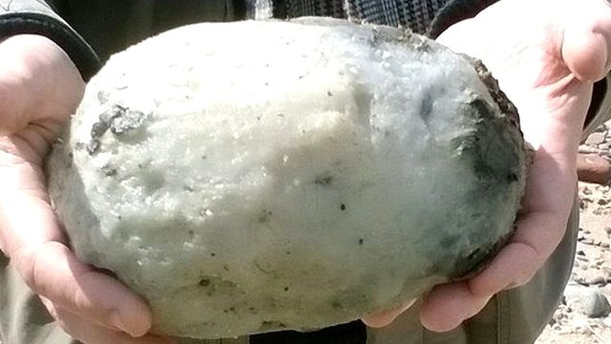 Şanslı Çift! Sahilde Buldukları Balina Kusmuğu Bir Ev Değerinde