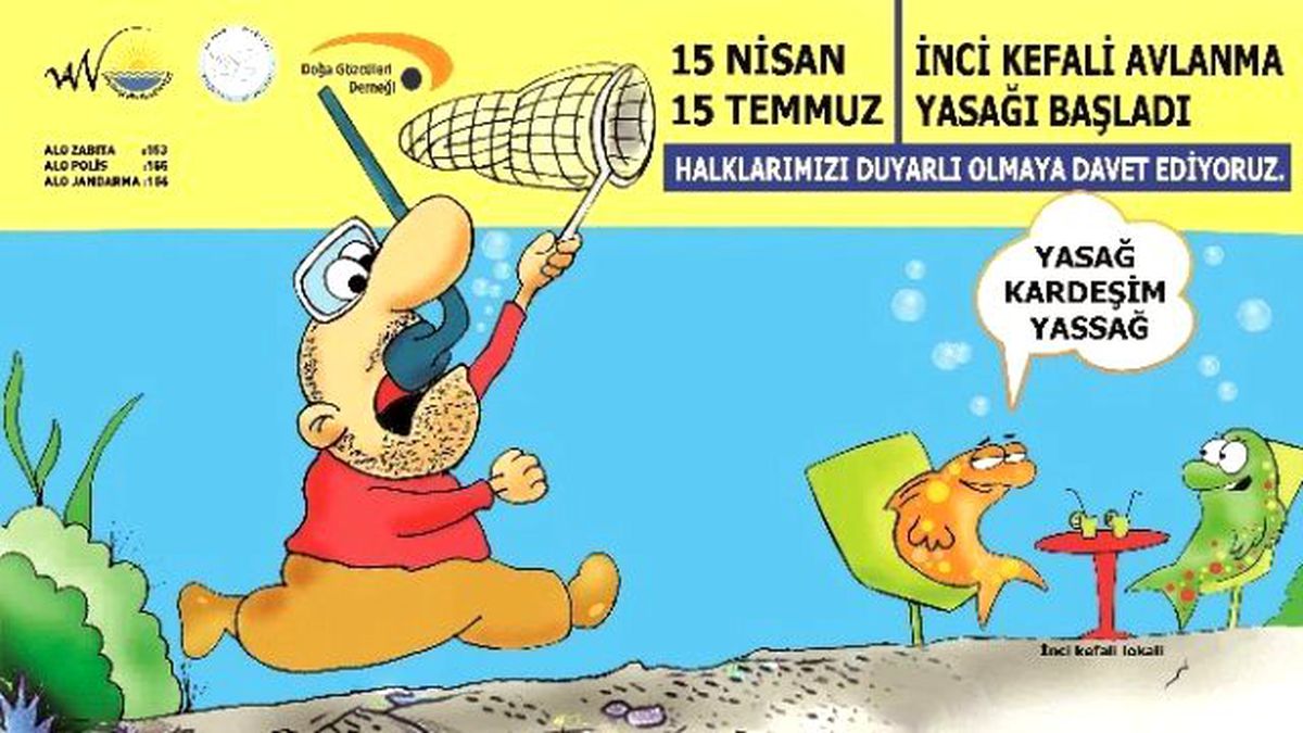 İnci Kefali Balığı Avlanma Yasağı Başlıyor