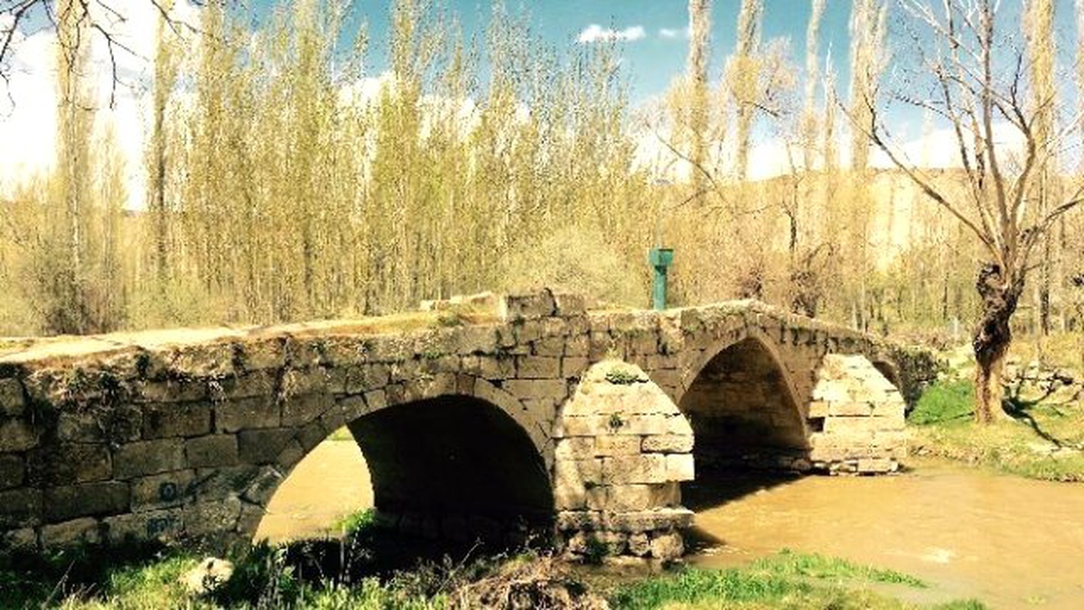 Tarihi Köprü Bakımsızlıktan Yıkılıyor