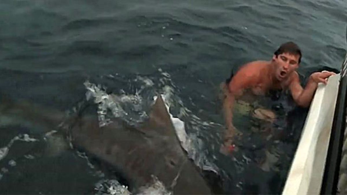 Yemle Balık Yakalamak İsteyen Adamın Şansına Köpek Balığı Çıktı!