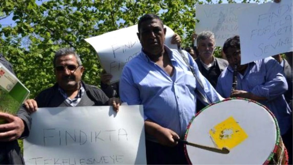 Zonguldak\'ta Fındık Protestosu