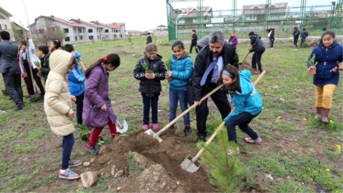 Melikgazi\'de 4000 Adet Çam ile Çınar Fidanı Toprakla Buluştu