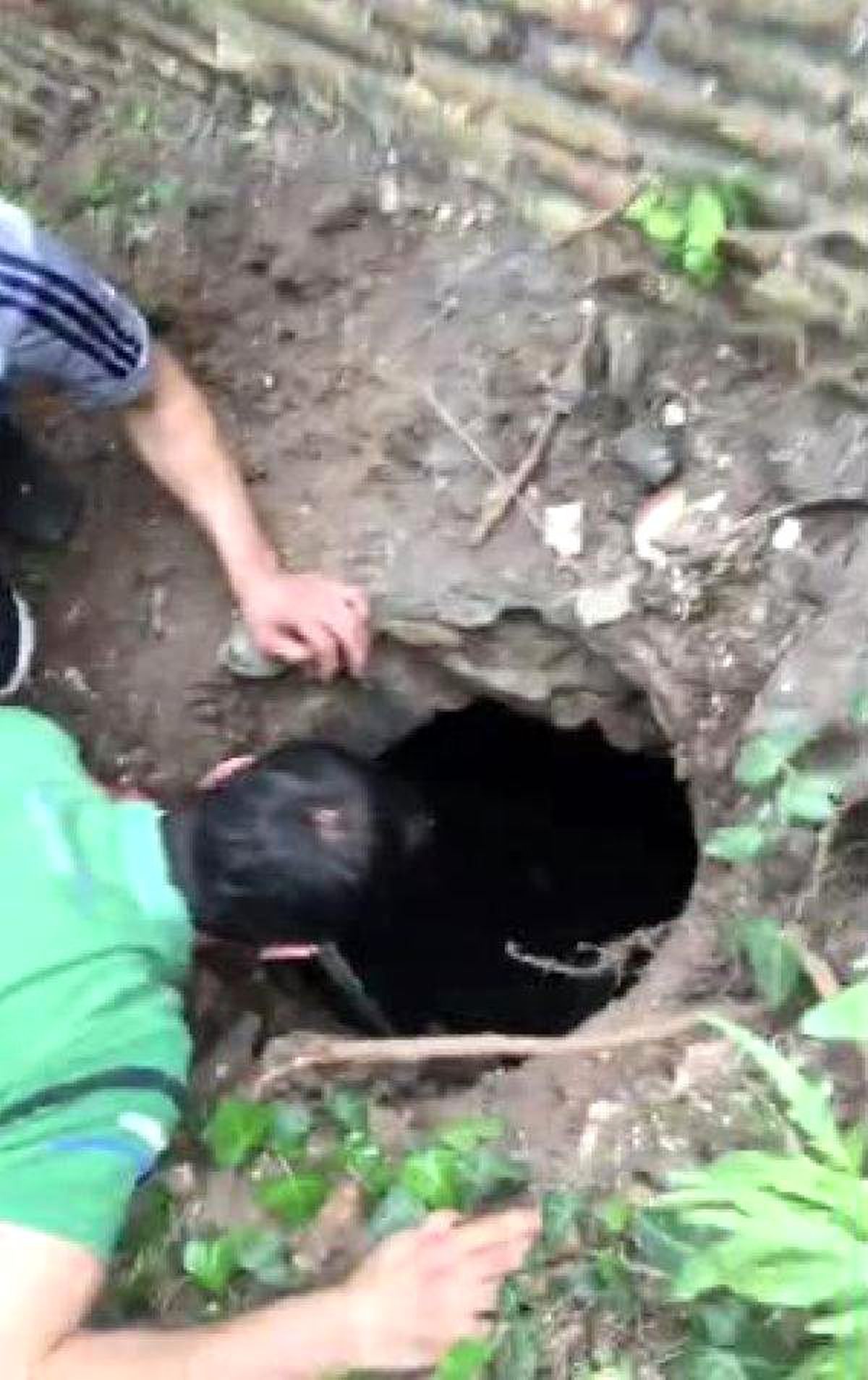 Fatih'te Her Yerde Aranan 7 Yaşındaki Nazlı, Hamam Kuyusunda Bulundu