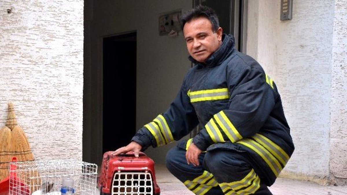 Komşuların Duyarlılığı Hayvanların Canını Kurtardı