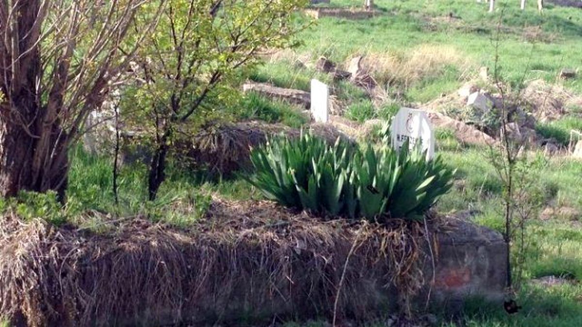 Bahçe Değil, Mezarlık