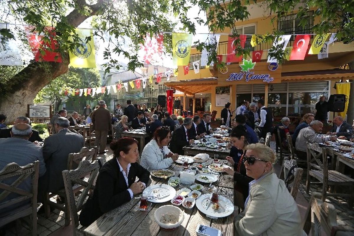 Bin Yıllık Çınarın Keyfi, Bu\'çınar Kafe\'de Çıkacak