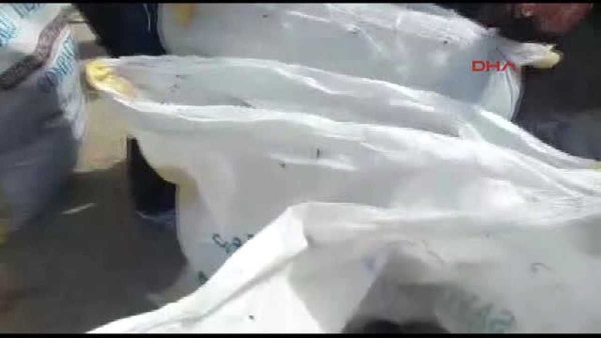 Bolu Kargo Kamyonunda Kaçak Sigara, Ayakkabı ve Gözlük