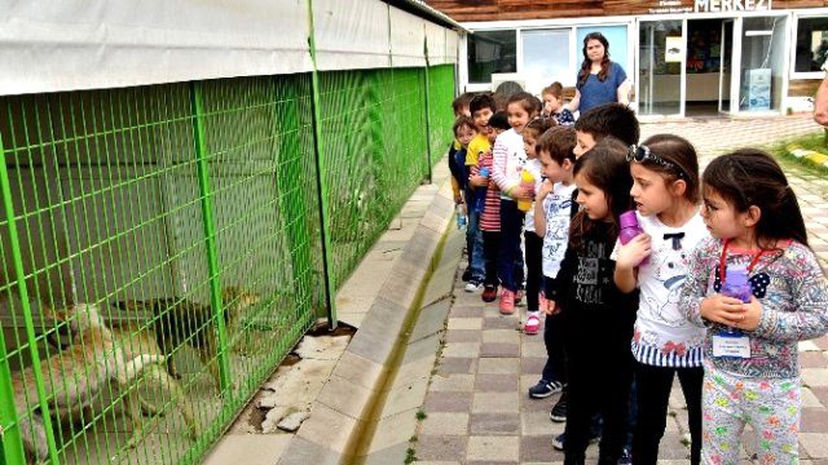 Doğal Yaşam Merkezi Çocuklara Hayvan Sevgisi Aşılıyor