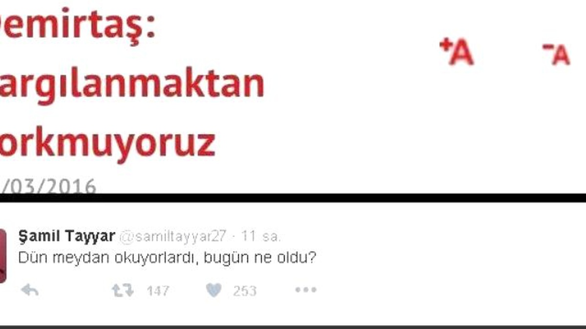 Dokunulmazlık Tartışması