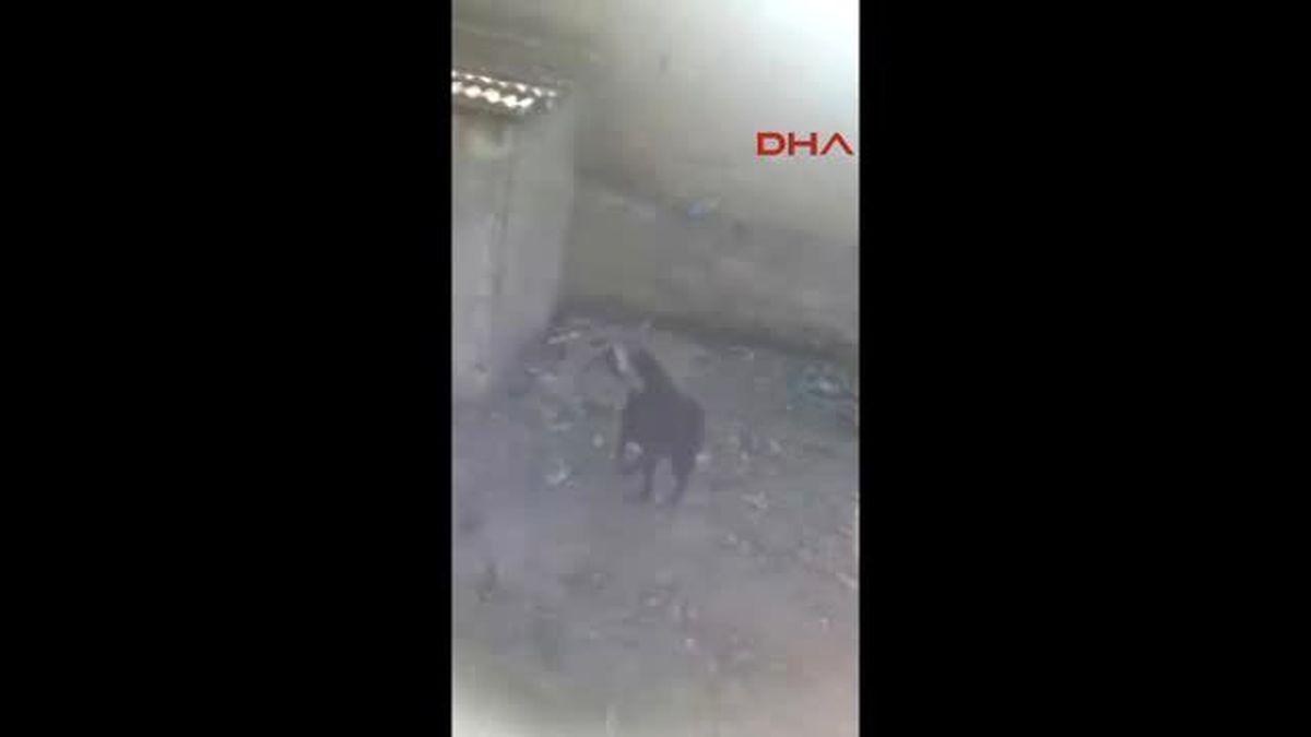 Edirne?de Uyuşturucu Operasyonu: 2 Tutuklama