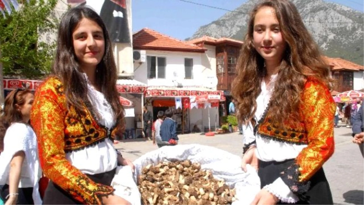 Fethiye\'de Mantar Festivali Coşkusu