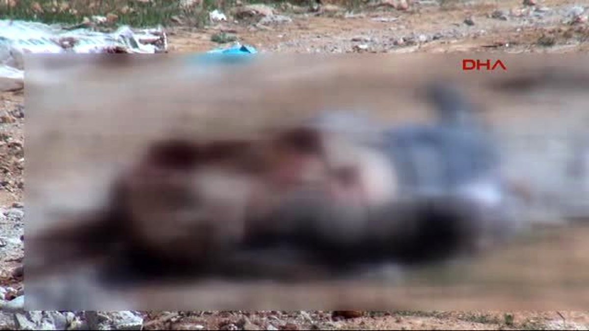 Gaziantep\'te 4 Gündür Aranıyordu, Bıçaklanmış Cesedi Bulundu