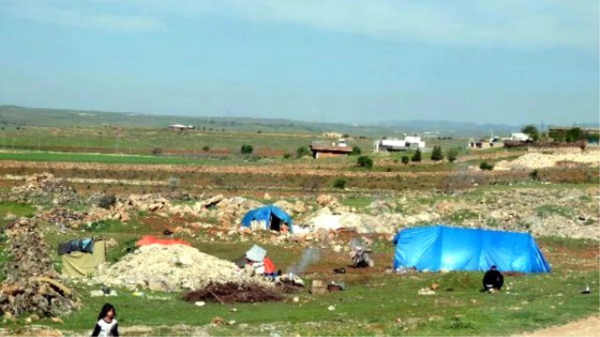 Nusaybin\'deki Operasyondan Kaçan Ailenin, Midyat\'ta Çadırda Yaşam Savaşı