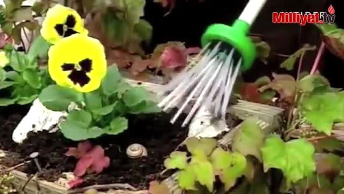 Oğlu Korkuyor Diye, Örümcekmatik İcat Etti